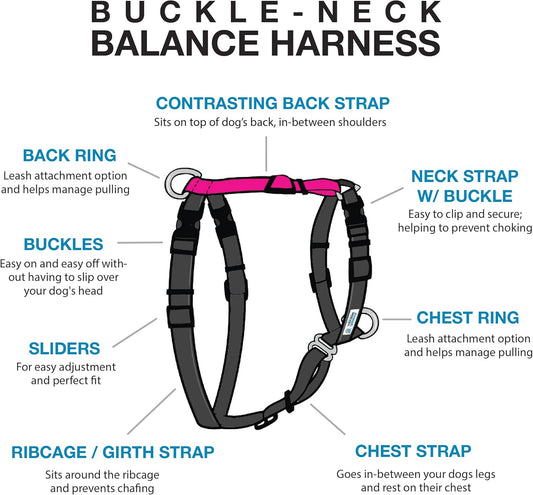 Blue-9 Buckle-Neck Balance Harness, Fully Customizable Fit No-Pull Harness, Ideal for Dog Training and Obedience, Made in The USA, Hot Pink, Small