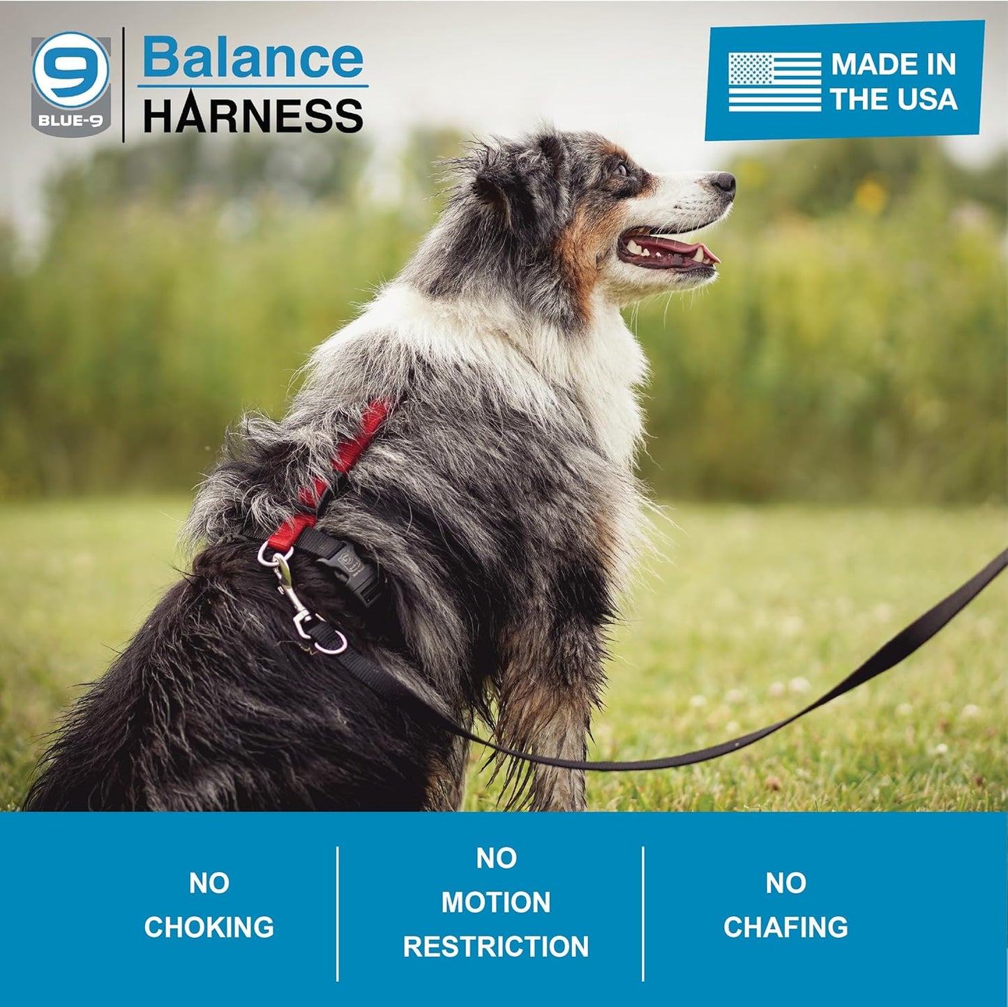 Blue-9 Buckle-Neck Balance Harness, Fully Customizable Fit No-Pull Harness, Ideal for Dog Training and Obedience, Made in The USA, Hot Pink, Small