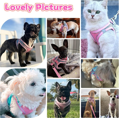 Soft Small Dog Harness and Leash Set Mesh Puppy Harnesses Leash Easy Walk Dog Harness Vest Adjustable Reflective No Pull Dog Harnesses for Small Dogs Cats (Pink,XXS)