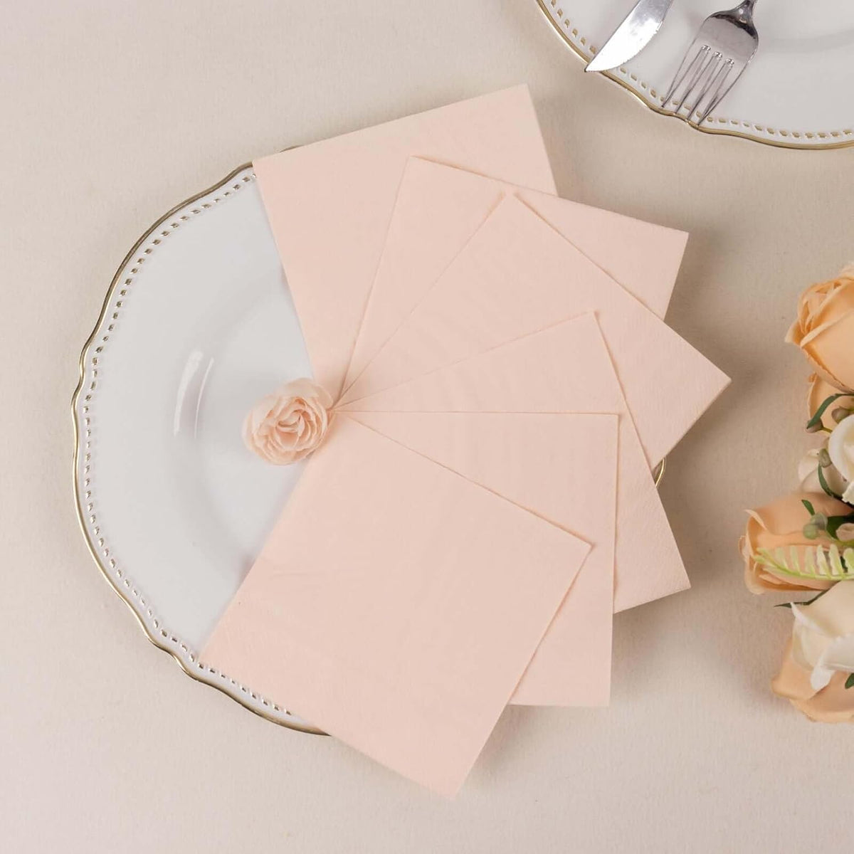 100 Count Blush 2-Ply Paper Beverage Napkins, Soft Disposable Cocktail Napkins 18 GSM - 5"x5"