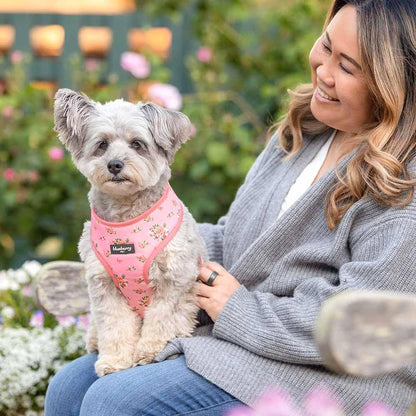 Soft & Comfy Spring Scent Inspired Floral Rose Baby Pink Dog Harness Vest, Chest Girth 16" - 21", Small, Adjustable Harnesses for Dogs