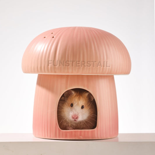 Ceramic Hamster Habitat Hideout