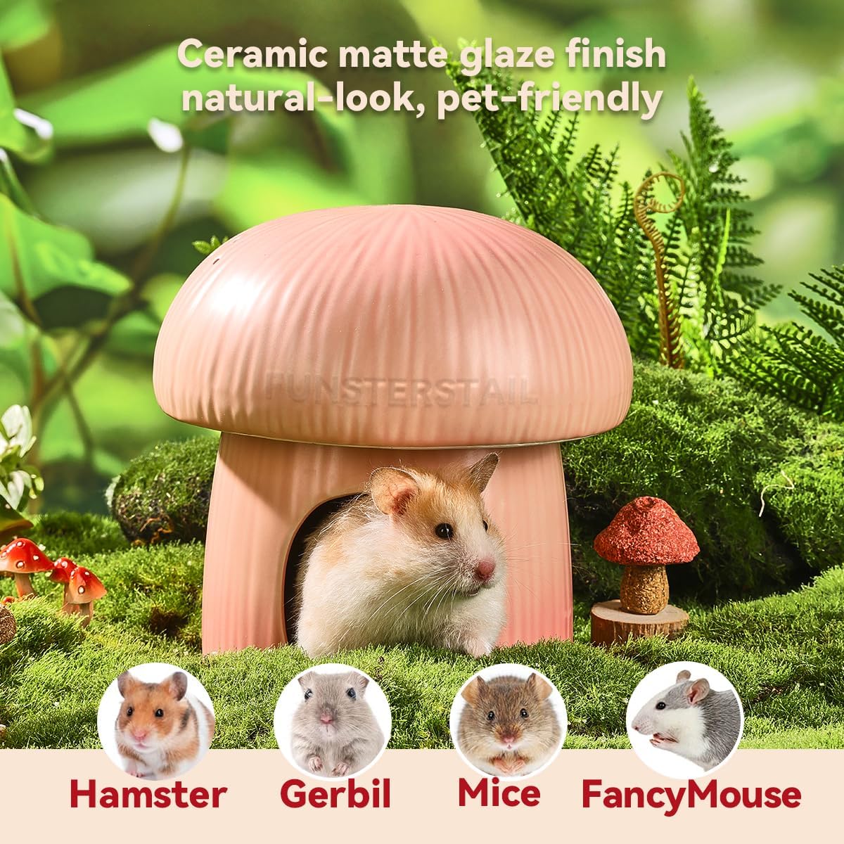 Ceramic Hamster Habitat Hideout