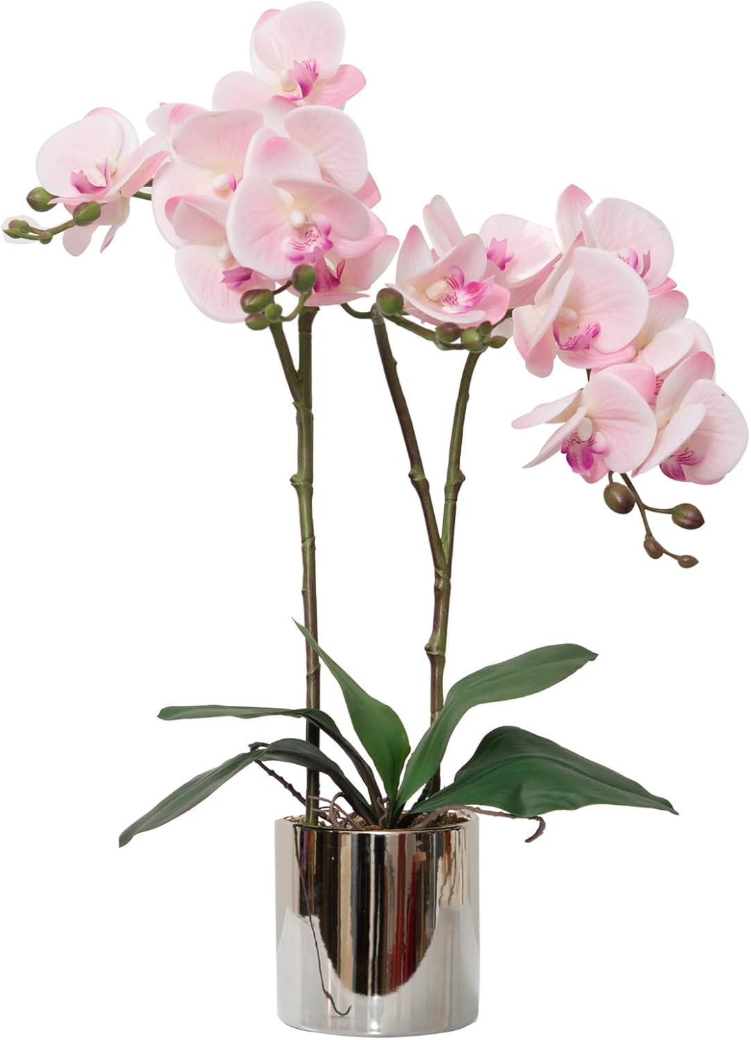 Artificial Orchid Flower Plant 19.7'' Real Touch Faux Orchids in Vase
