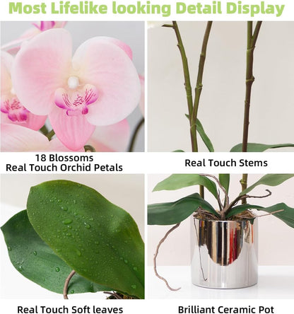 Artificial Orchid Flower Plant 19.7'' Real Touch Faux Orchids in Vase