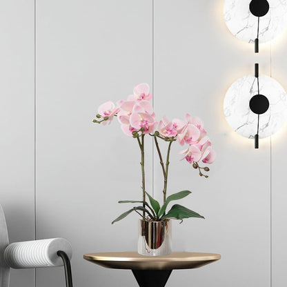 Artificial Orchid Flower Plant 19.7'' Real Touch Faux Orchids in Vase