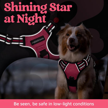 Dog Harness for Large, No Pull 3 Buckles Easy On & Off