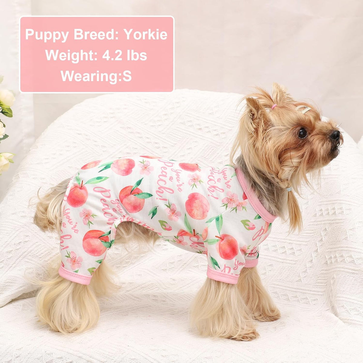 Dog Pajamas Pjs Spring Summer Dog Clothes for Small Dogs Girl Boy, Soft Stretchy Tiny Chihuahua Yorkie Puppy Clothes Doggie Onesies Cat Pet Jammies Outfit, Pink Peach, L
