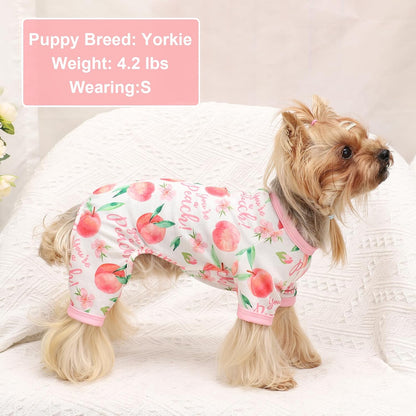 Dog Pajamas Pjs Spring Summer Dog Clothes for Small Dogs Girl Boy, Soft Stretchy Tiny Chihuahua Yorkie Puppy Clothes Doggie Onesies Cat Pet Jammies Outfit, Pink Peach, L