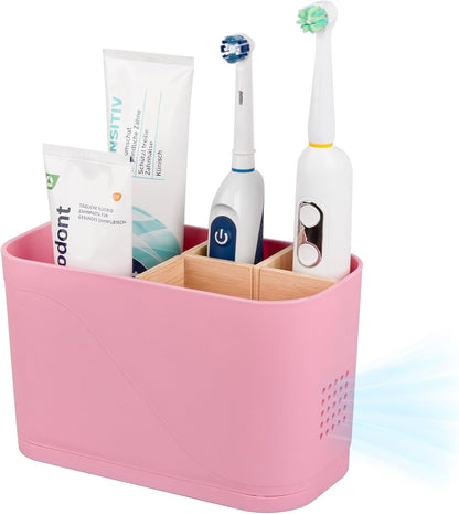 Toothbrush and Toothpaste Holder, 4 Slots, Pink