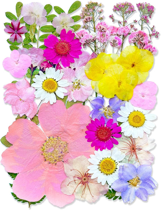 33Pcs Pink Pressed Dried Flowers for Resin, Real Natural Bulk Assorted Dry Floral Leaves for DIY Art Crafts, Epoxy Molds, Jewelry, Soap, Candle Making, Nails Decors