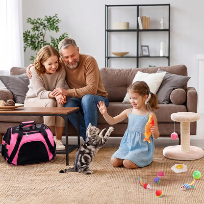 Kitten Starter Kit - 37 Pcs of Cat Essentials for Indoor Kittens