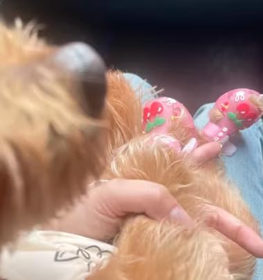 Cute Summer Dog Shoes Sweet Cherry Puppy Sandals Pet Jelly Shoes Flats, Dog Booties Paw Protector for Summer Hot Pavement (Candy Pink, #6: 2.68''x2.05''(Length*Width))