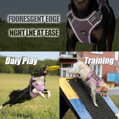 Dog Harness and Leash Set for Medium Dogs, No Pull Tactical Dog Harness, Service Dog Vest with Name Patches, Adjustable Reflective Military Dog Harness with Handle & MOLLE for Training, Pink, M
