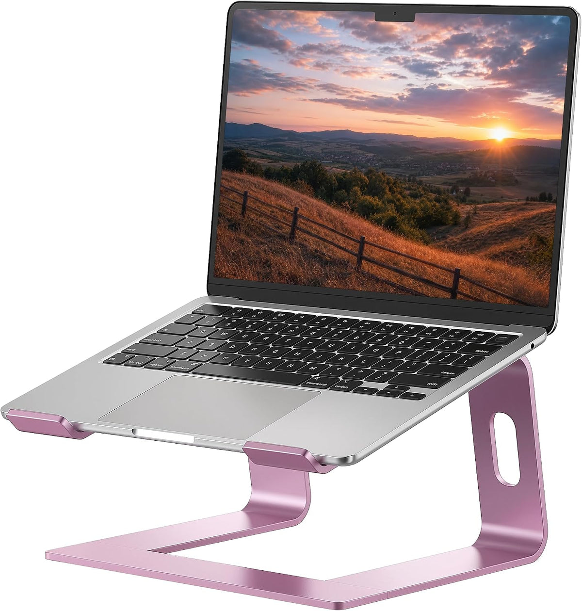 Laptop Stand, Aluminum Ergonomic Desk Riser, 10-15.6", Pink