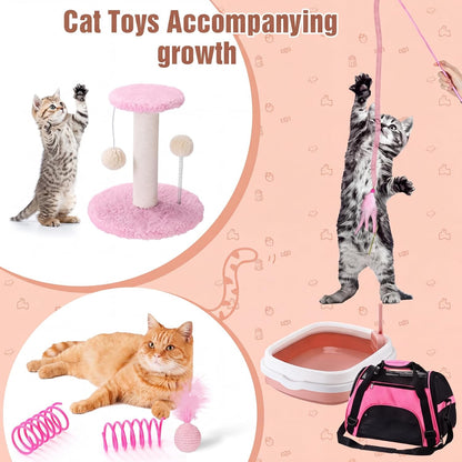 10 Pcs Kitten Starter Kit for Indoor, Classic, Medium, Pink