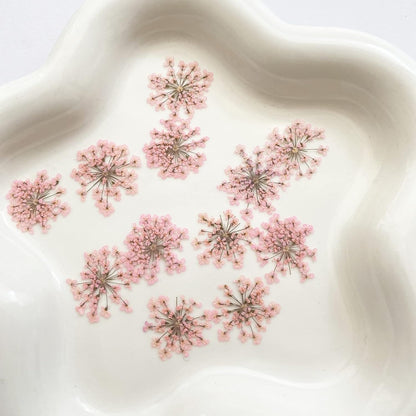 100pcs/pack Ammi majus Natural Pressed Dried Flower for Resin Jewelry Making, Soap and Candle Making, Scrapbooking DIY (Pink)