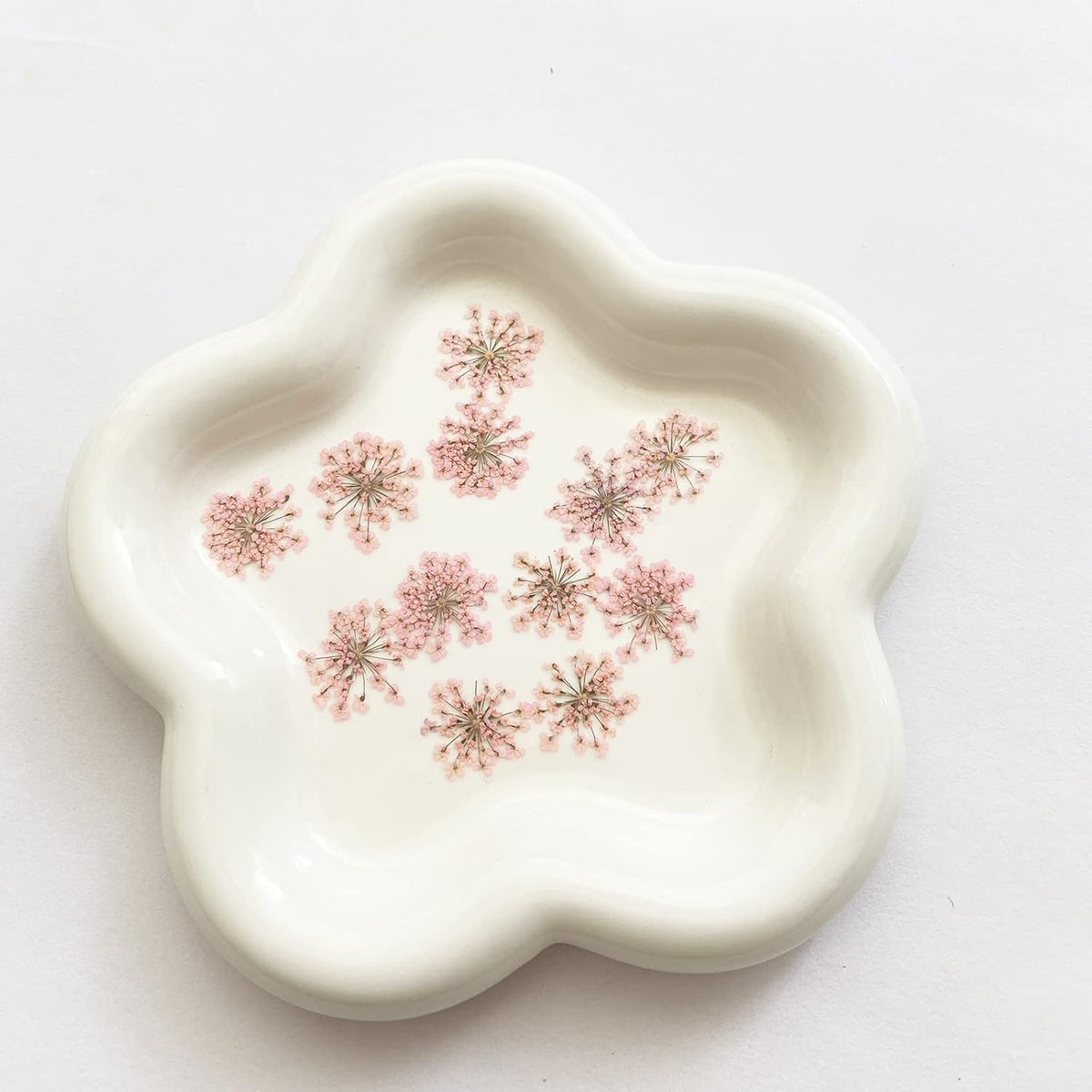 100pcs/pack Ammi majus Natural Pressed Dried Flower for Resin Jewelry Making, Soap and Candle Making, Scrapbooking DIY (Pink)