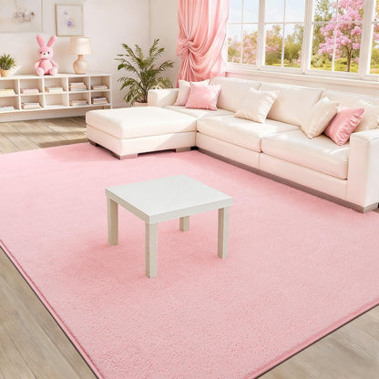 BENRON Soft Rugs for Living Room 5x7 Pink, Minimalist Area Rug for Bedroom