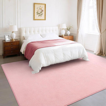BENRON Soft Rugs for Living Room 5x7 Pink, Minimalist Area Rug for Bedroom