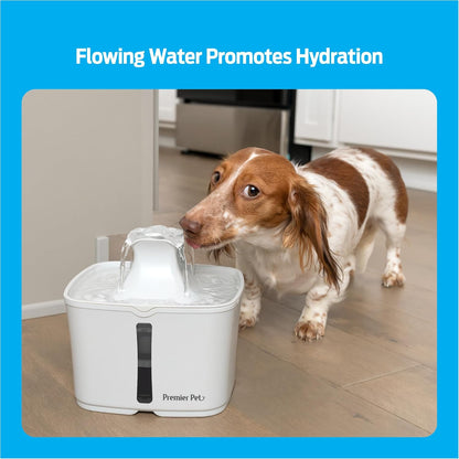 Premier Pet 60 oz. Pet Fountain Automatic Water Fountain for Dogs & Cats