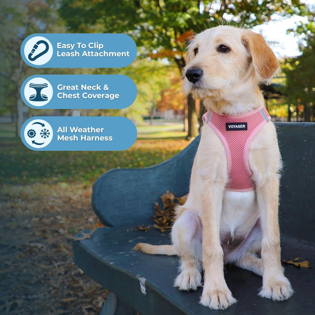 Best Pet Supplies Voyager Step-in Air All Weather Mesh Harness and Reflective Dog 5ft Leash Combo with Neoprene Handle, for Small, Medium and Large Breed Puppies - Pink, Small
