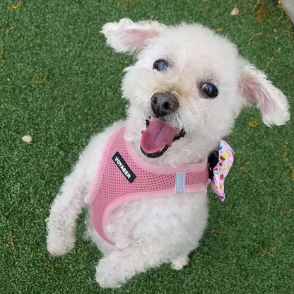 Best Pet Supplies Voyager Step-in Air All Weather Mesh Harness and Reflective Dog 5ft Leash Combo with Neoprene Handle, for Small, Medium and Large Breed Puppies - Pink, Small