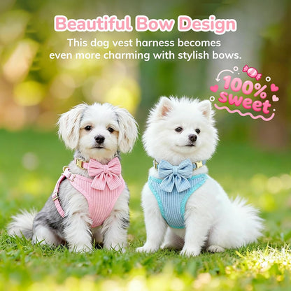 Small Dog Collar Harness and Leash Set, Dog Harness no Pull with Bowtie, Breathable Cotton Adjustable Pet Puppy Harness, Easy Walk Dog Harness, S(14–18.9")
