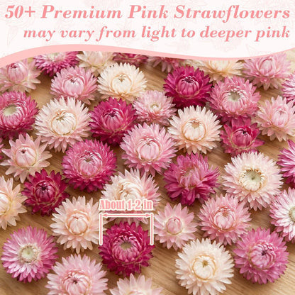 50+ Pcs Edible Pink Dried Flowers, Food Grade Helichrysum Strawflowers