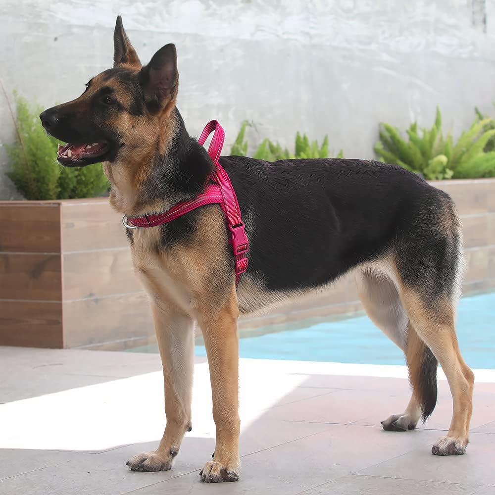 No Pull Dog Harness for Large Dogs, Breathable Mesh Padded