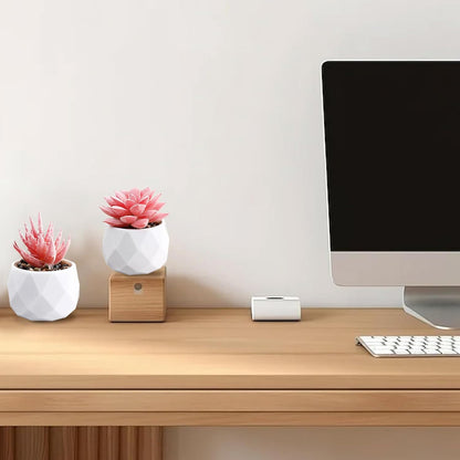 2 Pcs Succulents Plants Artificial with Pot Small Fake Potted Plants Artificial Decor Pink Faux Plants for Living Room Bedroom Office Desk Bookshelf Bathroom Decor Artificial Plants