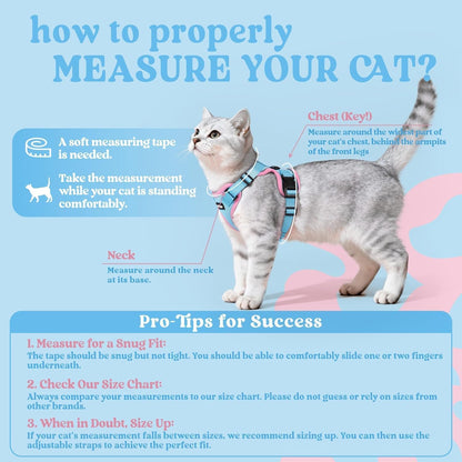 Cat Harness and Leash Set, Escape Proof Vest, Light Blue & Pink | Soft Breathable Mesh, Easy Adjustable Fit, Snap Buckles, Sturdy Clip, Reflective Strips, for Small & Average Cats Walks, Xs