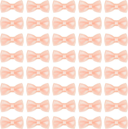 100 Pcs Mini Ribbon Bow 0.8" Mini Fabric Satin Ribbon Flower Bows for Craft DIY Sewing Wedding Birthday Party, Peach Red