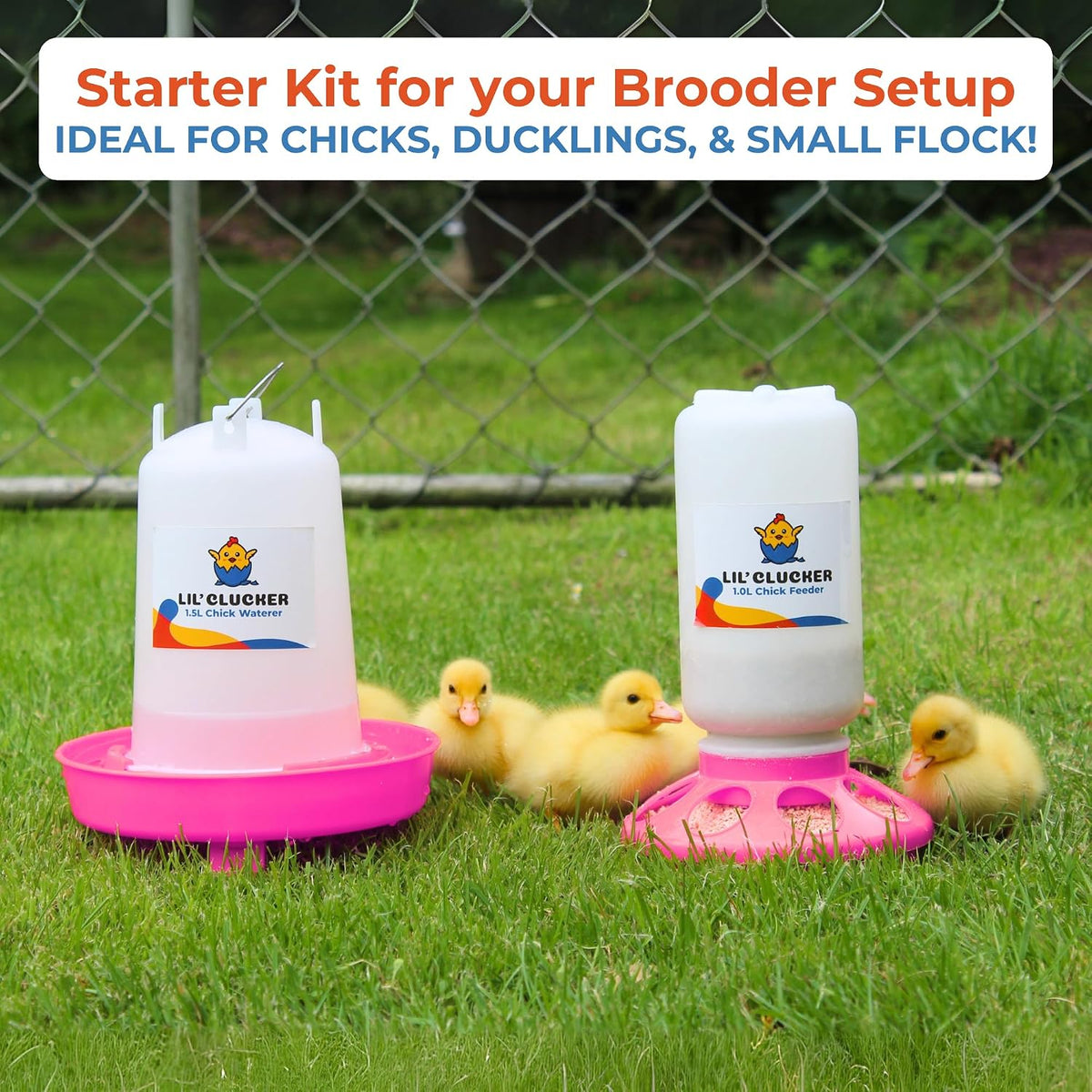 1L Chick Feeder, 1.5L Chicken Waterer - No Leakage Chick Feeder and Waterer Kit, Durable Chicken Water Feeder, Chicken Feeder and Waterer Set, Poultry Waterer (Pink)