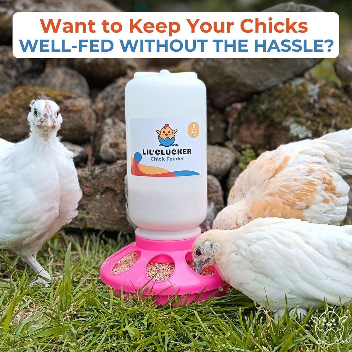 1L Chick Feeder, 1.5L Chicken Waterer - No Leakage Chick Feeder and Waterer Kit, Durable Chicken Water Feeder, Chicken Feeder and Waterer Set, Poultry Waterer (Pink)