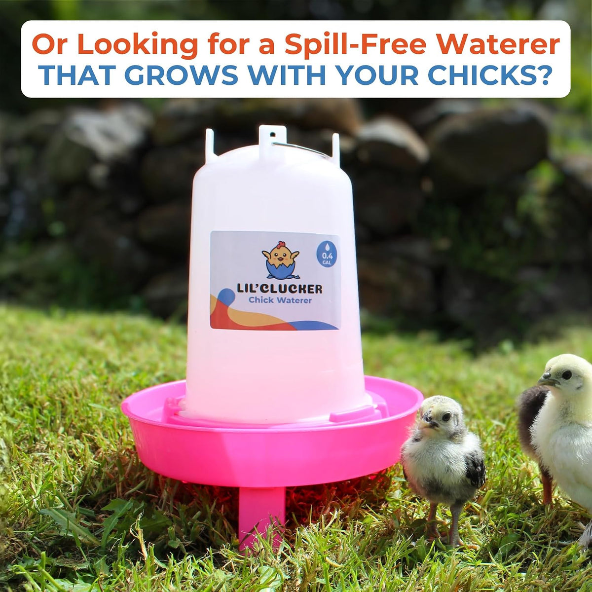 1L Chick Feeder, 1.5L Chicken Waterer - No Leakage Chick Feeder and Waterer Kit, Durable Chicken Water Feeder, Chicken Feeder and Waterer Set, Poultry Waterer (Pink)
