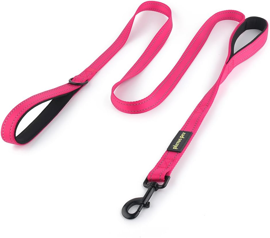 Double Handle Dog Leash, 6 FT Long, for Medium Large Dogs