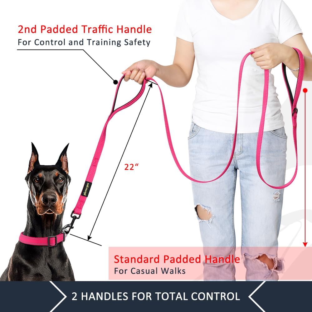 Double Handle Dog Leash, 6 FT Long, for Medium Large Dogs