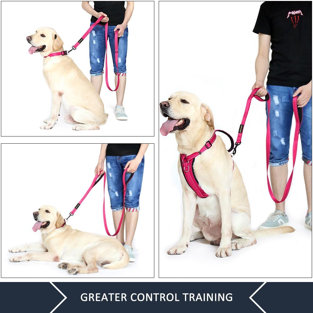 Double Handle Dog Leash, 6 FT Long, for Medium Large Dogs
