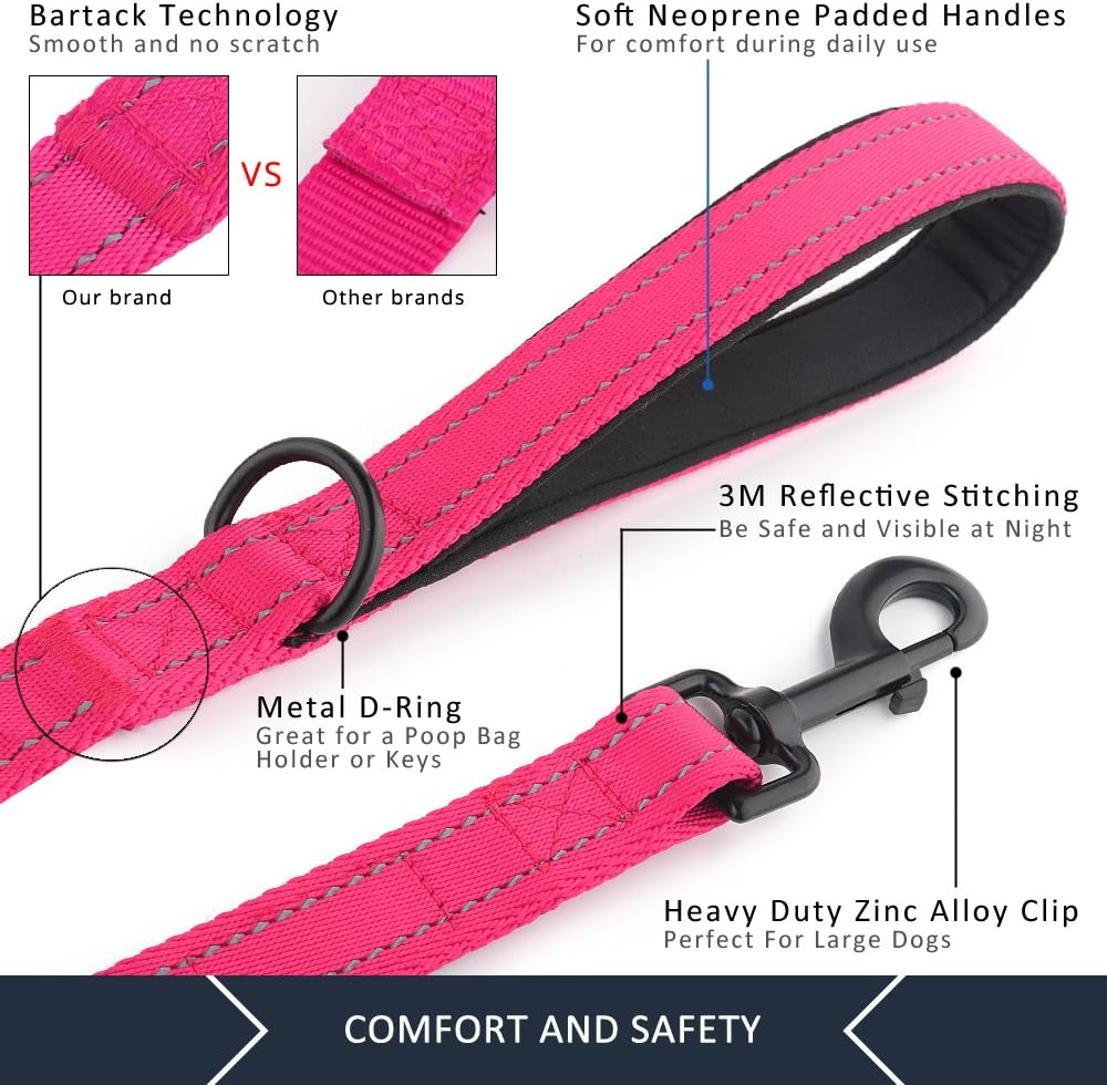 Double Handle Dog Leash, 6 FT Long, for Medium Large Dogs
