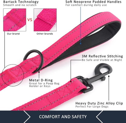 Double Handle Dog Leash, 6 FT Long, for Medium Large Dogs
