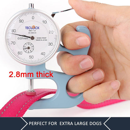 Double Handle Dog Leash, 6 FT Long, for Medium Large Dogs