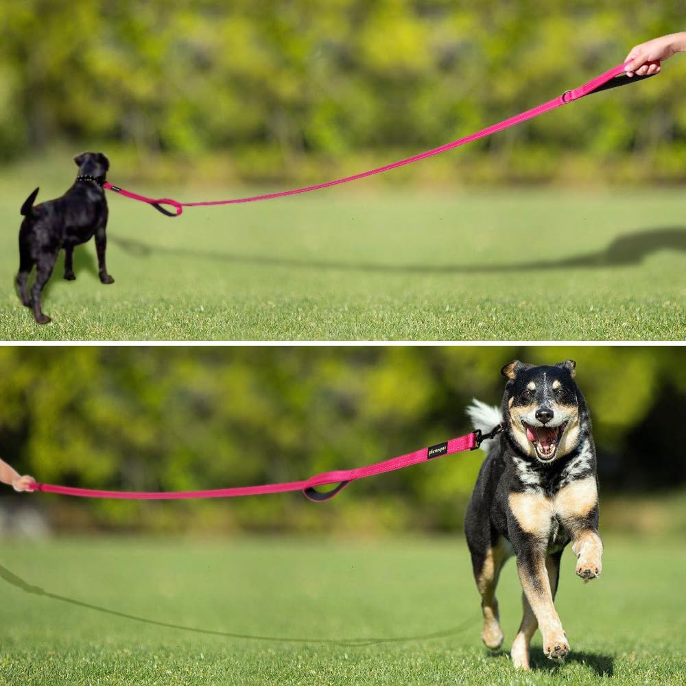 Double Handle Dog Leash, 6 FT Long, for Medium Large Dogs