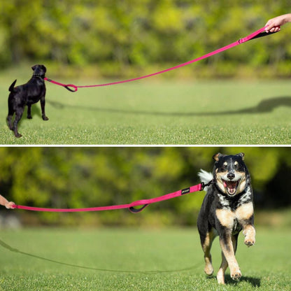 Double Handle Dog Leash, 6 FT Long, for Medium Large Dogs