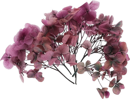 Dried Hydrangea Flower, 10g Natural Pressed Flowers Real Hydrangeas Petals for DIY Resin Crafts Card Floral Gift Candle Making Decor, Gradient Pink Gray
