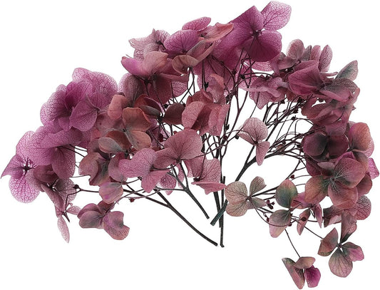 Dried Hydrangea Flower, 10g Natural Pressed Flowers Real Hydrangeas Petals for DIY Resin Crafts Card Floral Gift Candle Making Decor, Gradient Pink Gray