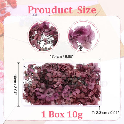 Dried Hydrangea Flower, 10g Natural Pressed Flowers Real Hydrangeas Petals for DIY Resin Crafts Card Floral Gift Candle Making Decor, Gradient Pink Gray
