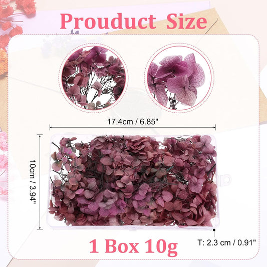 Dried Hydrangea Flower, 10g Natural Pressed Flowers Real Hydrangeas Petals for DIY Resin Crafts Card Floral Gift Candle Making Decor, Gradient Pink Gray