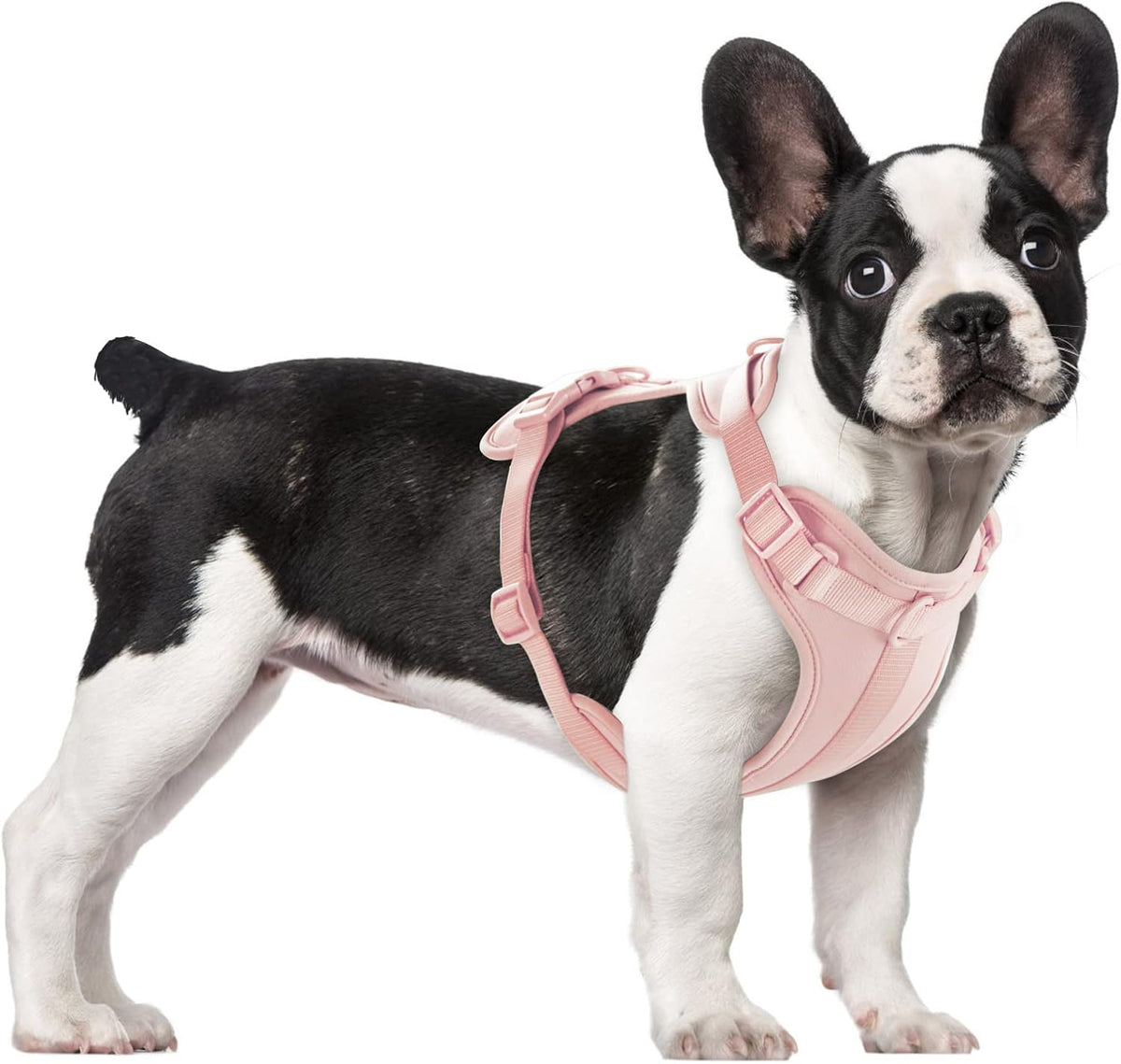 Wisedog Lightweight No Pull Dog Harness, Gossamer Pink, Medium