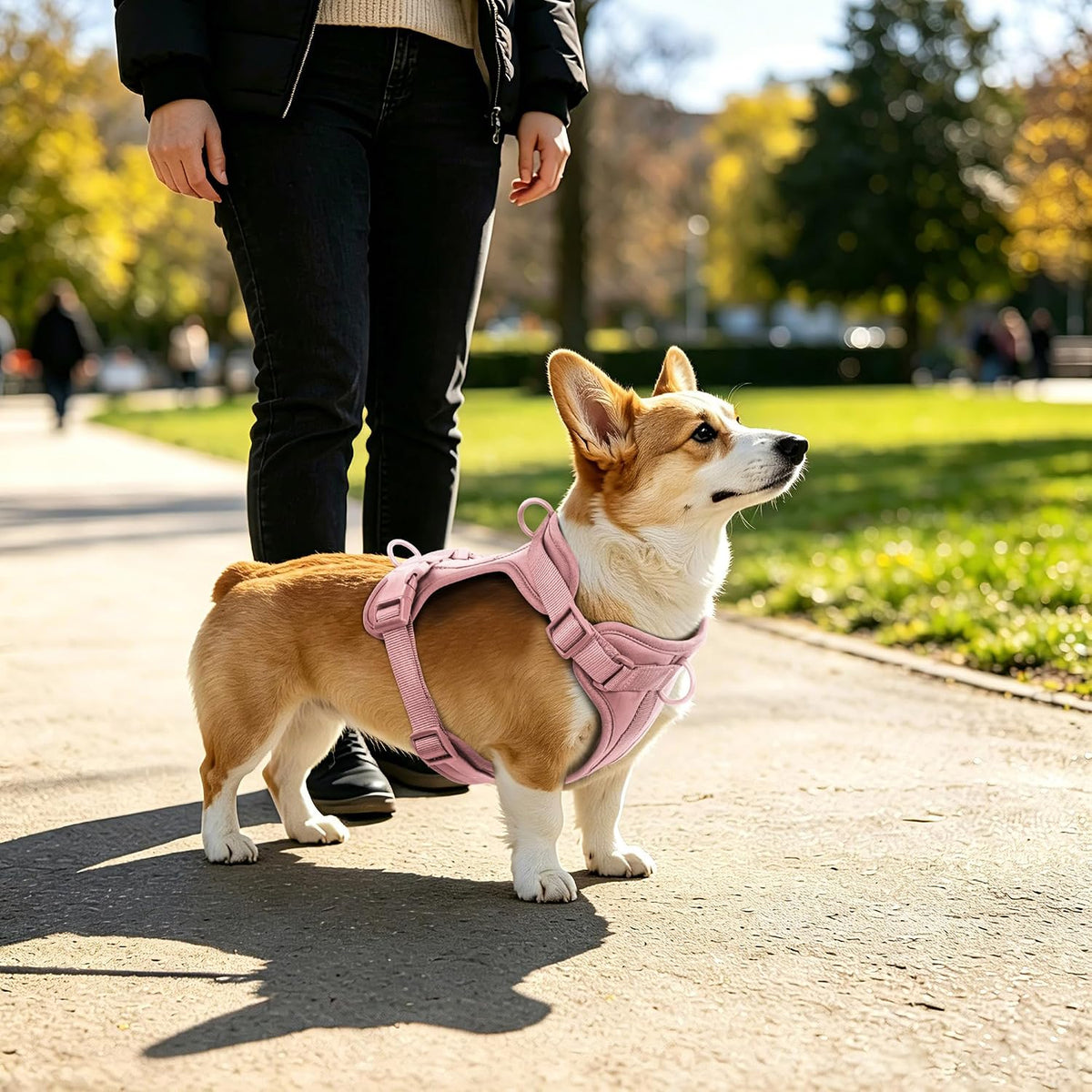 Wisedog Lightweight No Pull Dog Harness, Gossamer Pink, Medium